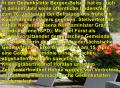 B Info 01